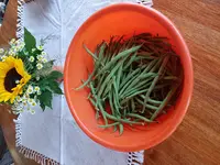 20170708_135937.webp