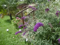 P1010270.webp