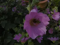P1010276.webp