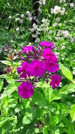 samst 024.webp