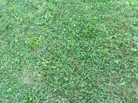 IMG_2939.webp