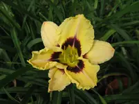 schönes kind_1067x800.webp