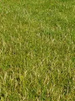 20170705_181738.webp