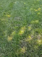 20170708_155134.webp