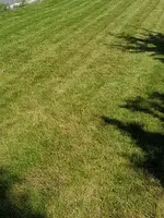 20170708_155237.webp