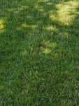 20170708_155258.jpg