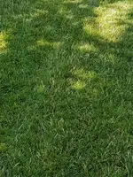 20170708_155258.webp