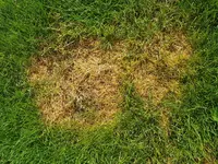 20170709_084122.webp