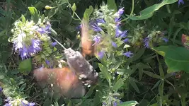 20170709_093335.jpg