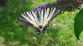 20170707_154337.webp