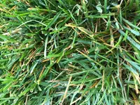 IMG_9157.JPG