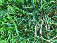 IMG_9160.JPG