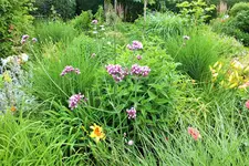 DSCF9380 (2).webp