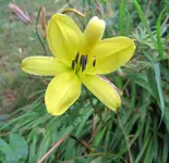 IMG_7608A.jpg