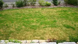 IMG_20170710_104713.webp