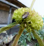 P1000203.webp