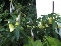 BILD7513.webp