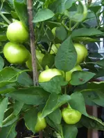 BILD7515.webp