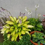 20170710_192819.jpg