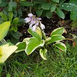 20170710_192718.webp