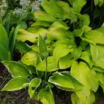 20170710_192602.webp