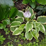 20170710_192550.webp