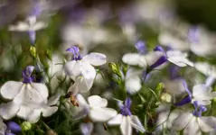 _MG_8324.webp