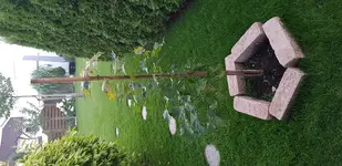20170710_211746.webp