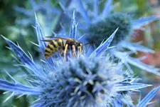 DSCF9413 (2).webp
