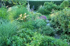 DSCF9414 (2).webp