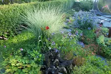 DSCF9430 (2).webp