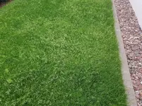 20170710_183136.webp