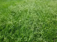 20170710_192541.webp