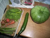 100_2423.webp