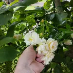 20170711_175402.webp