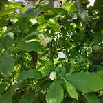20170711_175300.webp