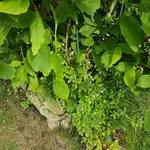 20170711_175209.webp