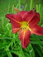 DSCI0438.webp