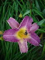 k-DSCI0419.webp