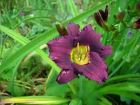 k-DSCI0424.webp