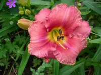k-DSCI0431.webp