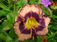 k-DSCI0403.webp