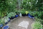 Rosentempel0617.jpg