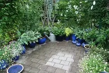 Rosentempel0617.webp
