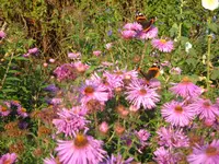 sept.07 015.webp