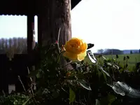 DSCF3080.webp