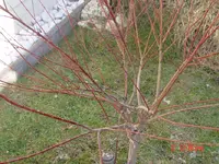 1523aenderung.webp