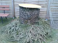 Bild111.webp