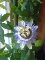 DSC00808.webp