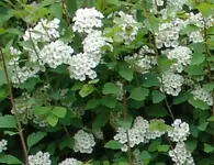 DSC051422.webp